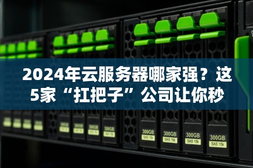 2024年云服务器哪家强？这5家“扛把子”公司让你秒变老司机！