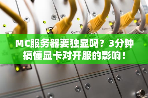 MC服务器要独显吗？3分钟搞懂显卡对开服的影响！