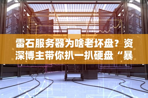 雷石服务器为啥老坏盘？资深博主带你扒一扒硬盘“暴毙”的真相！