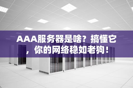 AAA服务器是啥？搞懂它，你的网络稳如老狗！