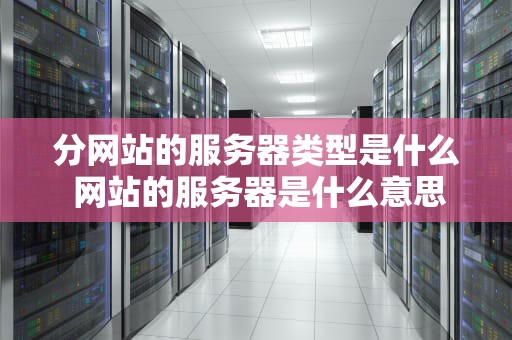 分网站的服务器类型是什么 网站的服务器是什么意思