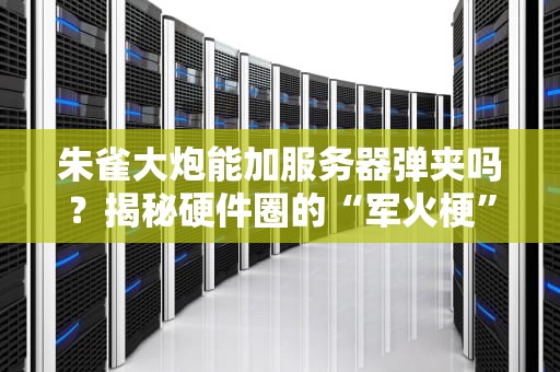 朱雀大炮能加服务器弹夹吗？揭秘硬件圈的“军火梗”与真实性能