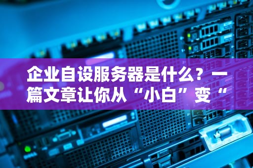 企业自设服务器是什么？一篇文章让你从“小白”变“内行”！
