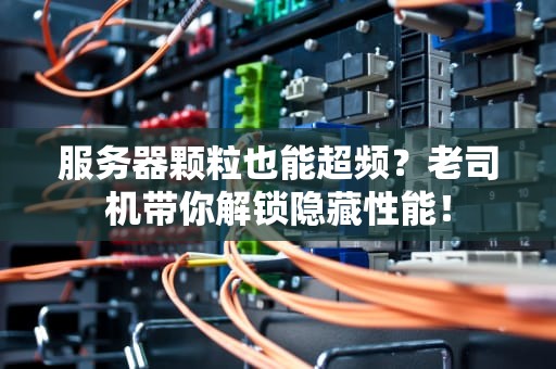 服务器颗粒也能超频？老司机带你解锁隐藏性能！