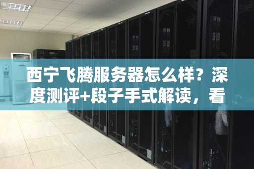 西宁飞腾服务器怎么样？深度测评+段子手式解读，看完笑出8块腹肌！
