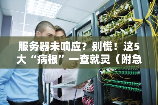 服务器未响应？别慌！这5大“病根”一查就灵（附急救方案）