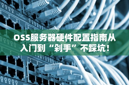 OSS服务器硬件配置指南从入门到“剁手”不踩坑！