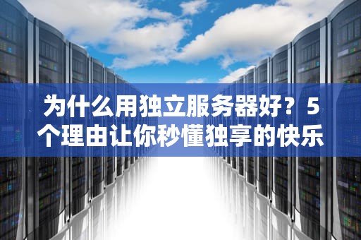 为什么用独立服务器好？5个理由让你秒懂独享的快乐！