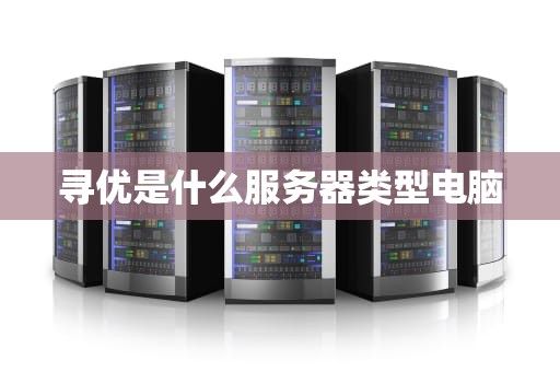 寻优是什么服务器类型电脑