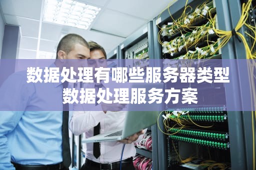 数据处理有哪些服务器类型 数据处理服务方案