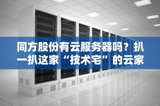 同方股份有云服务器吗？扒一扒这家“技术宅”的云家底！