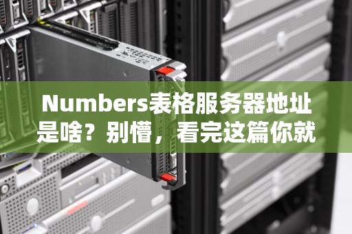 Numbers表格服务器地址是啥？别懵，看完这篇你就懂了！
