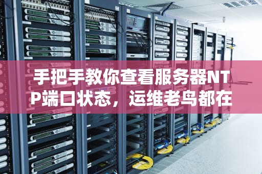 手把手教你查看服务器NTP端口状态，运维老鸟都在用的3种绝招！