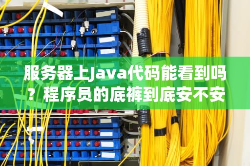服务器上Java代码能看到吗？程序员的底裤到底安不安全？