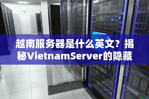 越南服务器是什么英文？揭秘VietnamServer的隐藏技能与避坑指南！