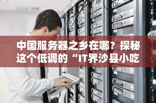 中国服务器之乡在哪？探秘这个低调的“IT界沙县小吃”聚集地！