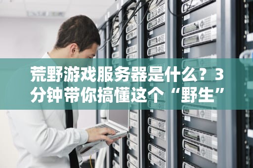 荒野游戏服务器是什么？3分钟带你搞懂这个“野生”黑科技！