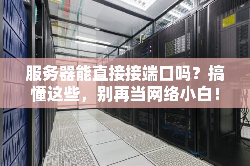 服务器能直接接端口吗？搞懂这些，别再当网络小白！