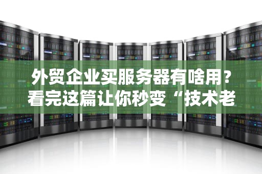 外贸企业买服务器有啥用？看完这篇让你秒变“技术老司机”！
