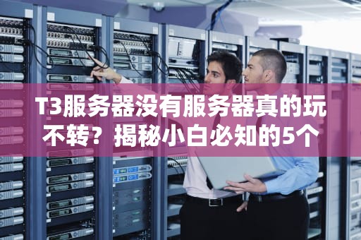 T3服务器没有服务器真的玩不转？揭秘小白必知的5个真相！