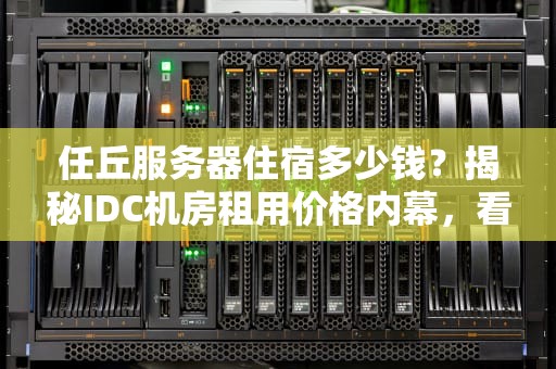 任丘服务器住宿多少钱？揭秘IDC机房租用价格内幕，看完笑出腹肌！