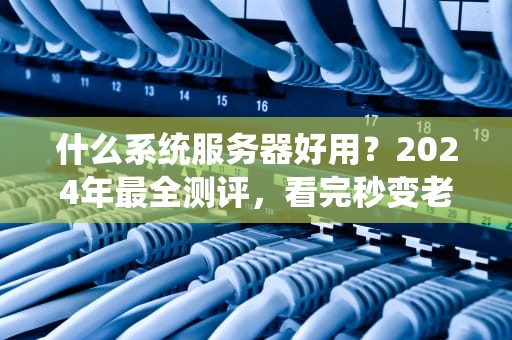 什么系统服务器好用？2024年最全测评，看完秒变老司机！