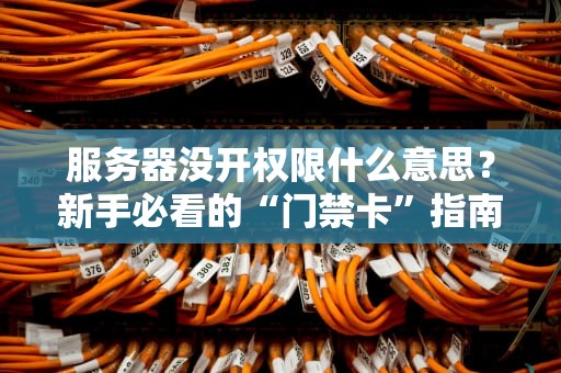 服务器没开权限什么意思？新手必看的“门禁卡”指南！