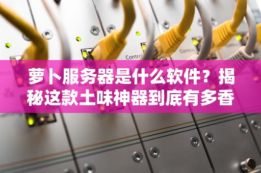 萝卜服务器是什么软件？揭秘这款土味神器到底有多香！