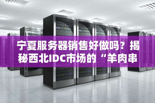 宁夏服务器销售好做吗？揭秘西北IDC市场的“羊肉串”商机！
