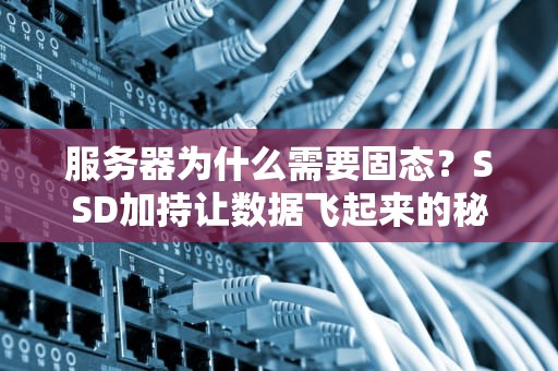 服务器为什么需要固态？SSD加持让数据飞起来的秘密！