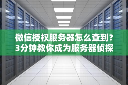 微信授权服务器怎么查到？3分钟教你成为服务器侦探！