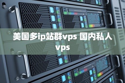 美国多ip站群vps 国内私人vps