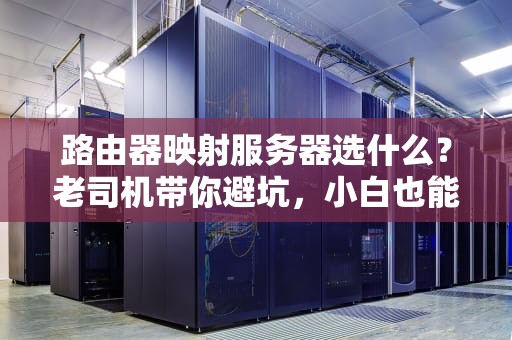 路由器映射服务器选什么？老司机带你避坑，小白也能秒懂！