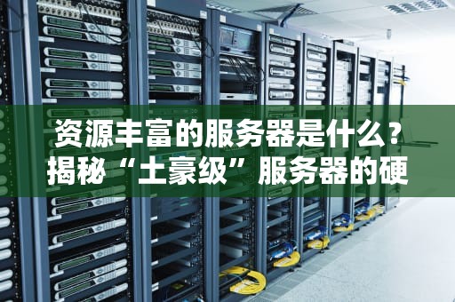 资源丰富的服务器是什么？揭秘“土豪级”服务器的硬核配置！