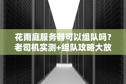 花雨庭服务器可以组队吗？老司机实测+组队攻略大放送！
