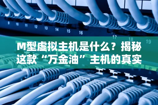 M型虚拟主机是什么？揭秘这款“万金油”主机的真实战斗力！