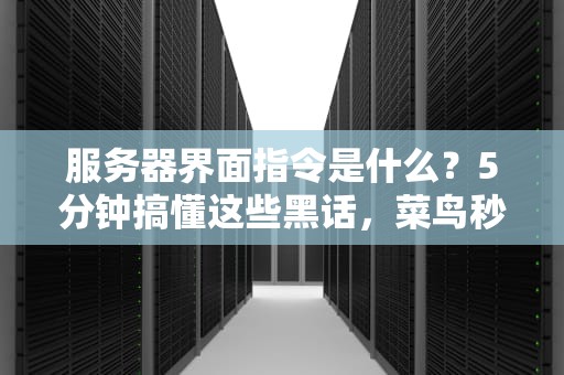 服务器界面指令是什么？5分钟搞懂这些黑话，菜鸟秒变老司机！