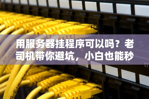 用服务器挂程序可以吗？老司机带你避坑，小白也能秒懂！