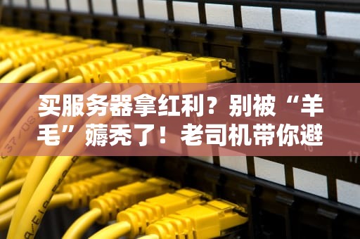 买服务器拿红利？别被“羊毛”薅秃了！老司机带你避坑指南