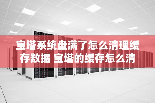 宝塔系统盘满了怎么清理缓存数据 宝塔的缓存怎么清理