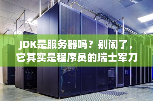 JDK是服务器吗？别闹了，它其实是程序员的瑞士军刀！