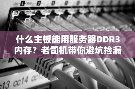 什么主板能用服务器DDR3内存？老司机带你避坑捡漏，省下一顿火锅钱！