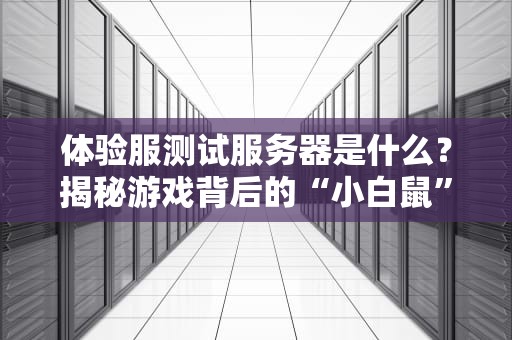 体验服测试服务器是什么？揭秘游戏背后的“小白鼠”实验室！