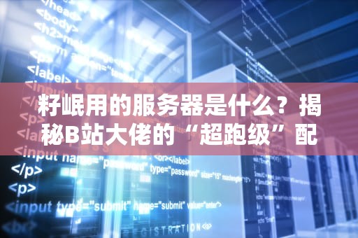 籽岷用的服务器是什么？揭秘B站大佬的“超跑级”配置！