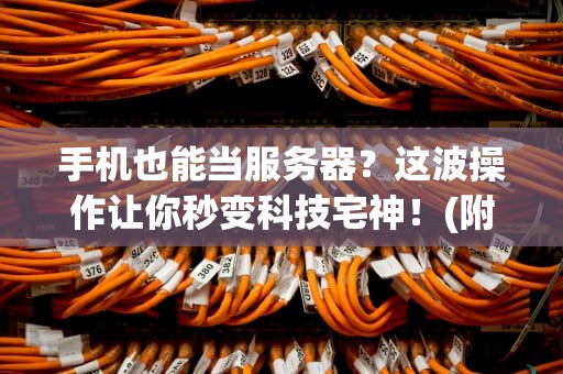 手机也能当服务器？这波操作让你秒变科技宅神！(附详细教程+避坑指南)