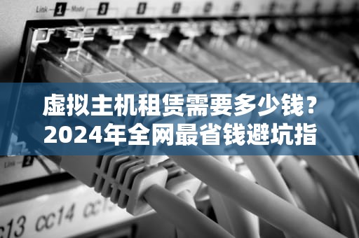 虚拟主机租赁需要多少钱？2024年全网最省钱避坑指南！