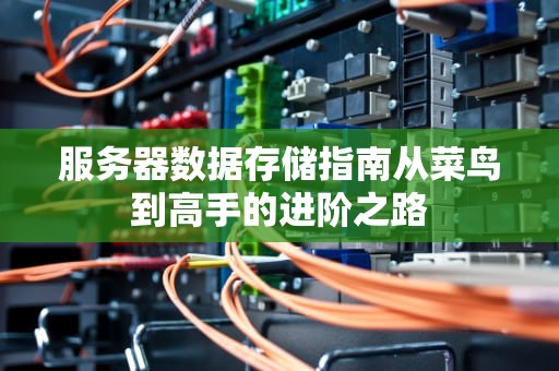 服务器数据存储指南从菜鸟到高手的进阶之路