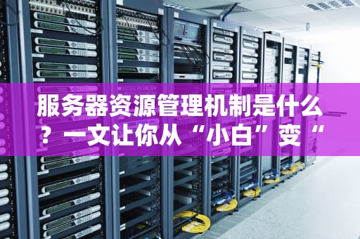 服务器资源管理机制是什么？一文让你从“小白”变“大神”！（附超实用案例）