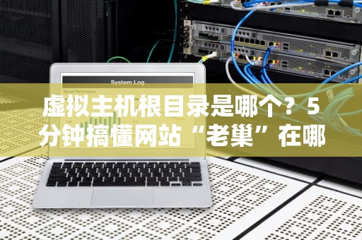 虚拟主机根目录是哪个？5分钟搞懂网站“老巢”在哪，新手必看！