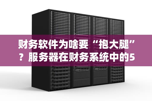 财务软件为啥要“抱大腿”？服务器在财务系统中的5大硬核作用！